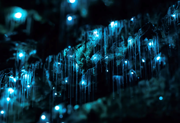 blue glowing spots and streaks against a black background