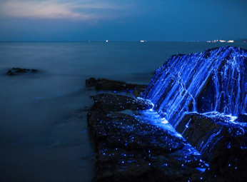 a rock face coming out of the ocean covered glowing blue streaks