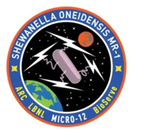 a NASA mission patch showing a bacteria in space with lightning bolts attached to it