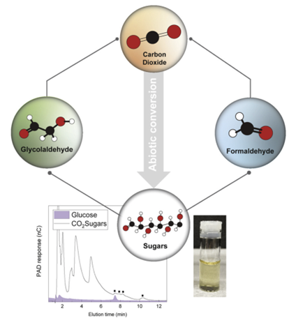 a chart showing the conversion of carbon dioxide to sugar using additional molecules